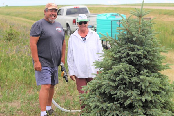 Young trees get loving care from Parshall couple