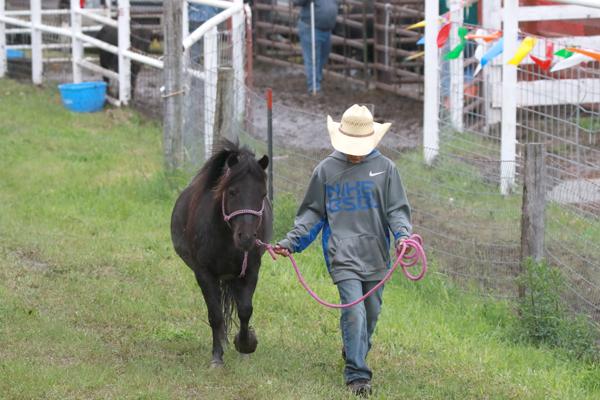 Calling young cowhands